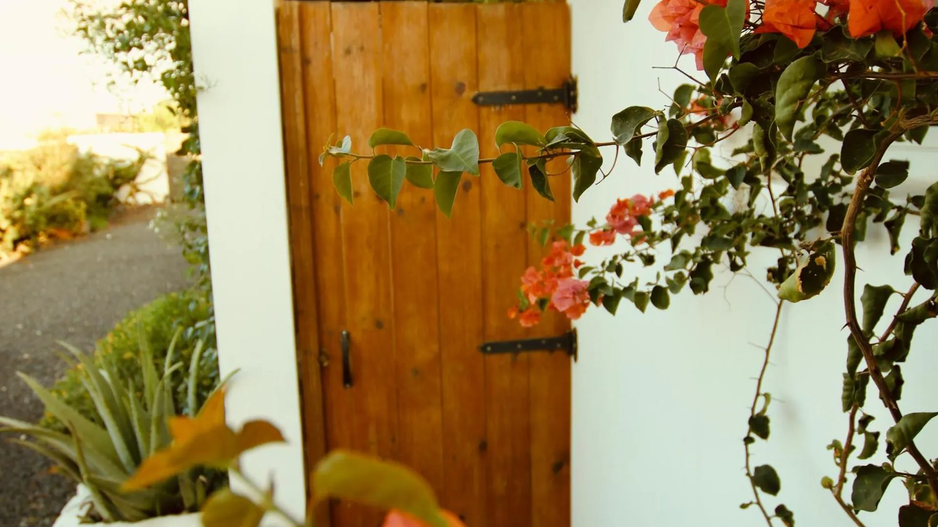 Vitamin Sea Guesthouse Lajares Spanien